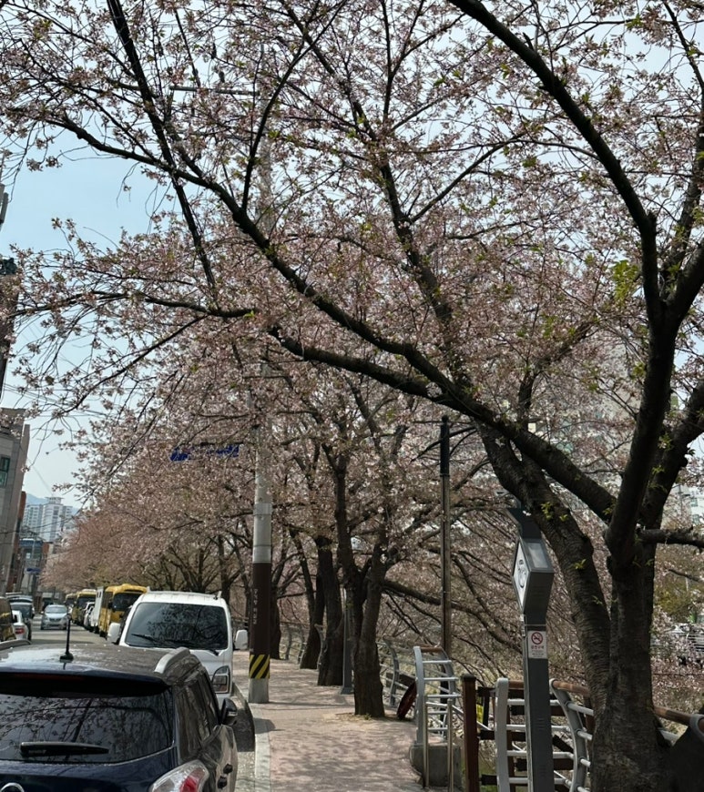 루하리움 이미지
