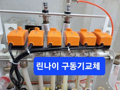 피닉스시스템 이미지