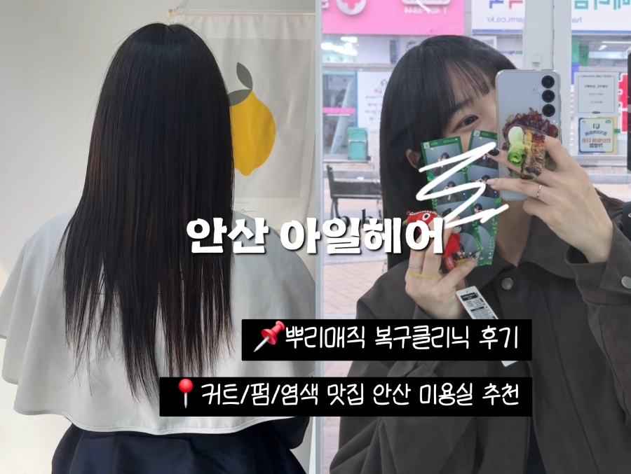 아일헤어 이미지