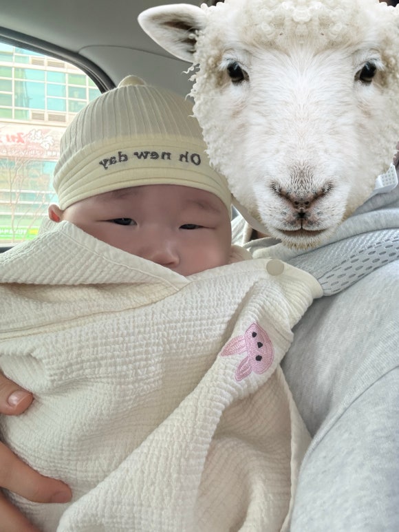 해피종합관리 이미지