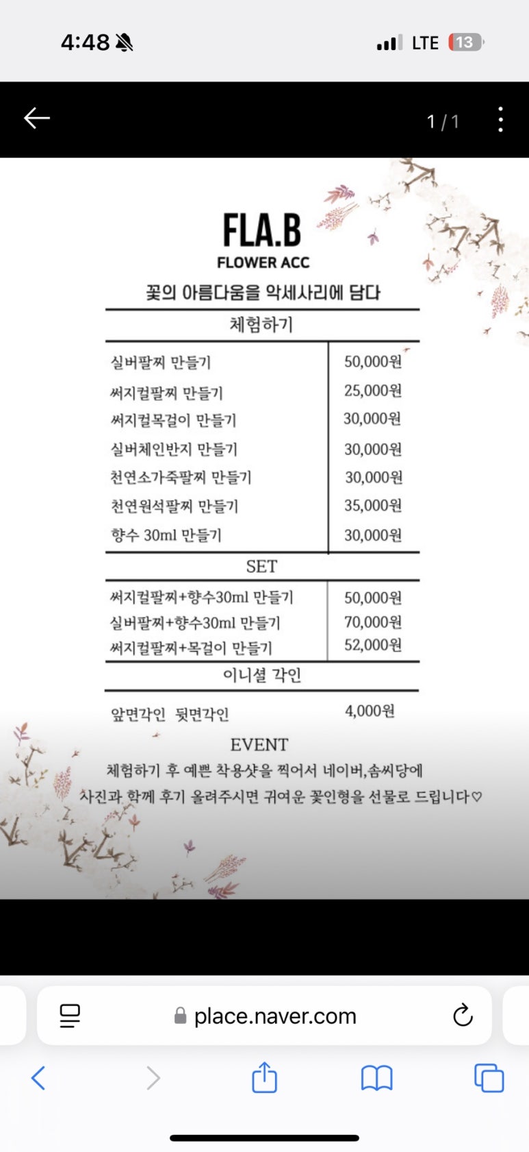 플라비 이미지