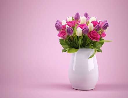 국민화원 이미지