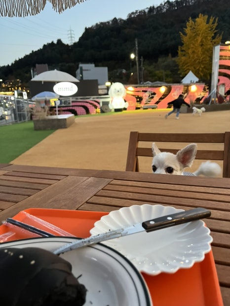 카페나도미 이미지