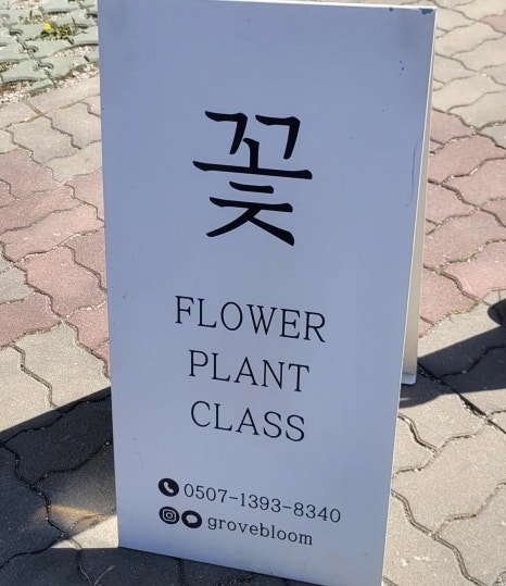 그로브블룸 이미지