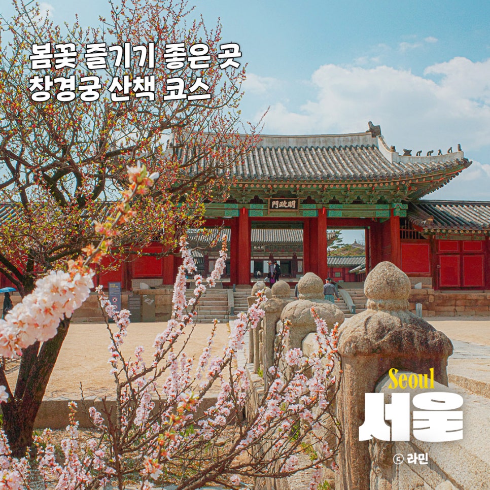 더;예쁜날 이미지