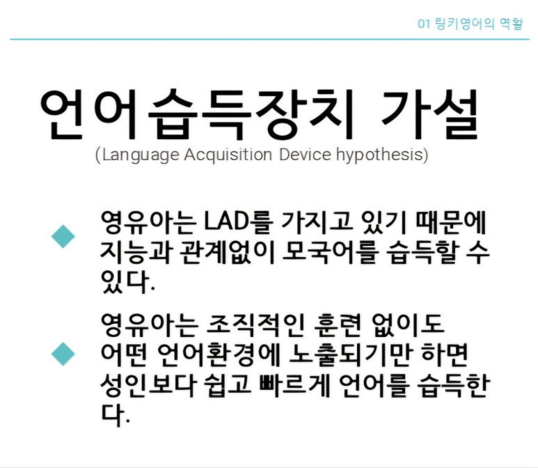 선천가설 이미지