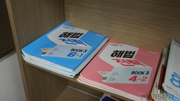 새솔 이미지