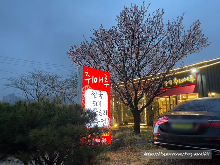 취애루 이미지