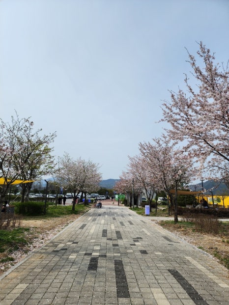 탄금호 피크닉 공원 이미지