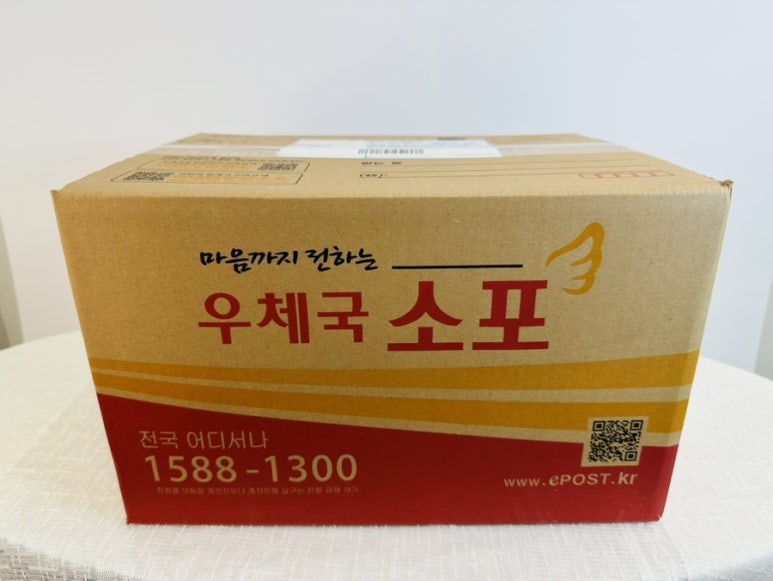다이노스808 이미지
