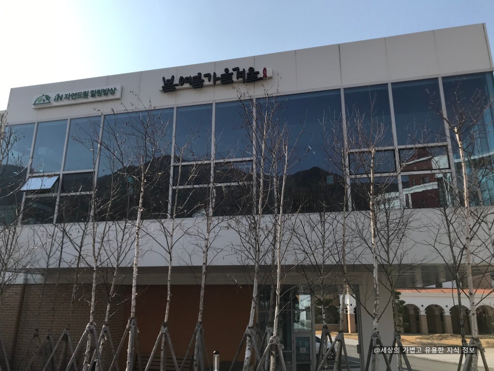 봄여름가을겨울식당 이미지