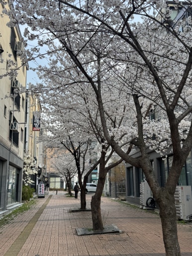 체인지스킨 이미지
