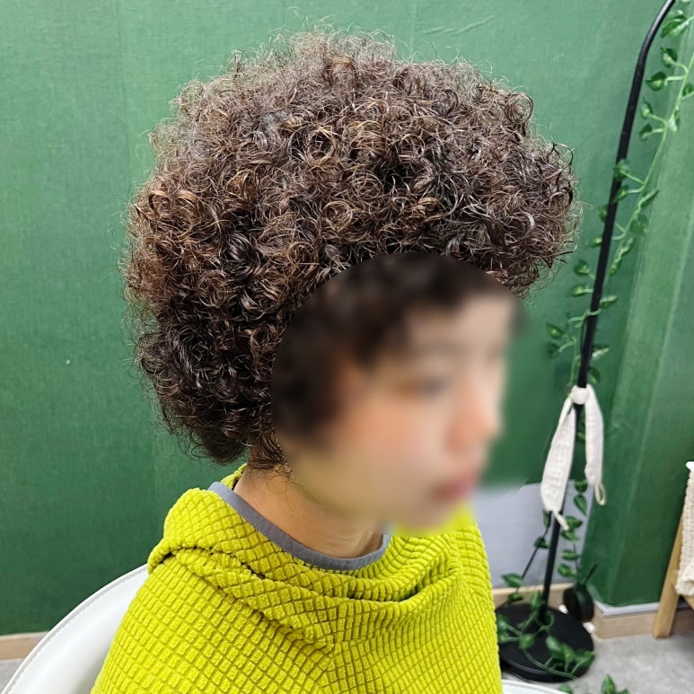 단다두리헤어 이미지