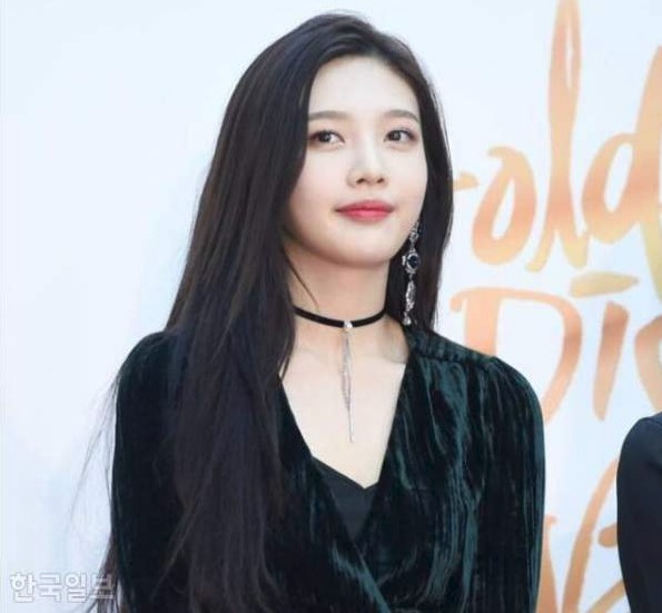 조이식물 이미지