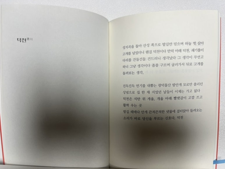새들반점 이미지