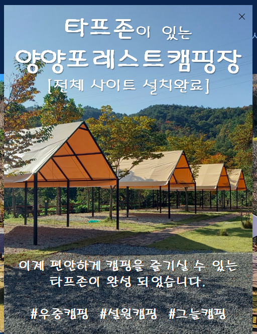 양양포레스트캠핑장 이미지