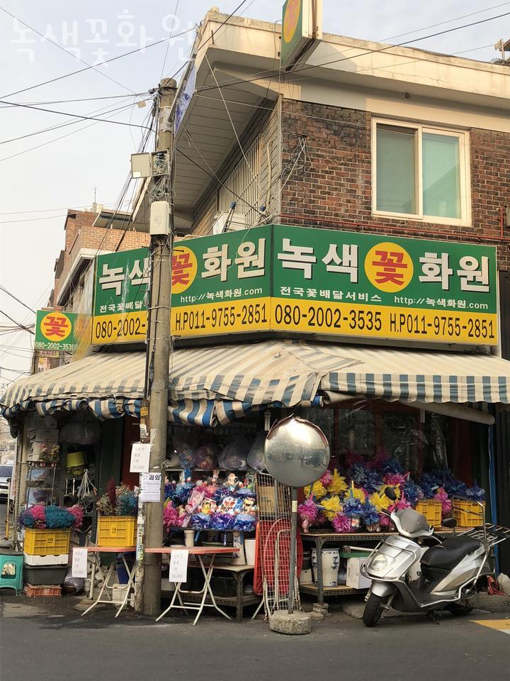 녹색꽃화원 이미지
