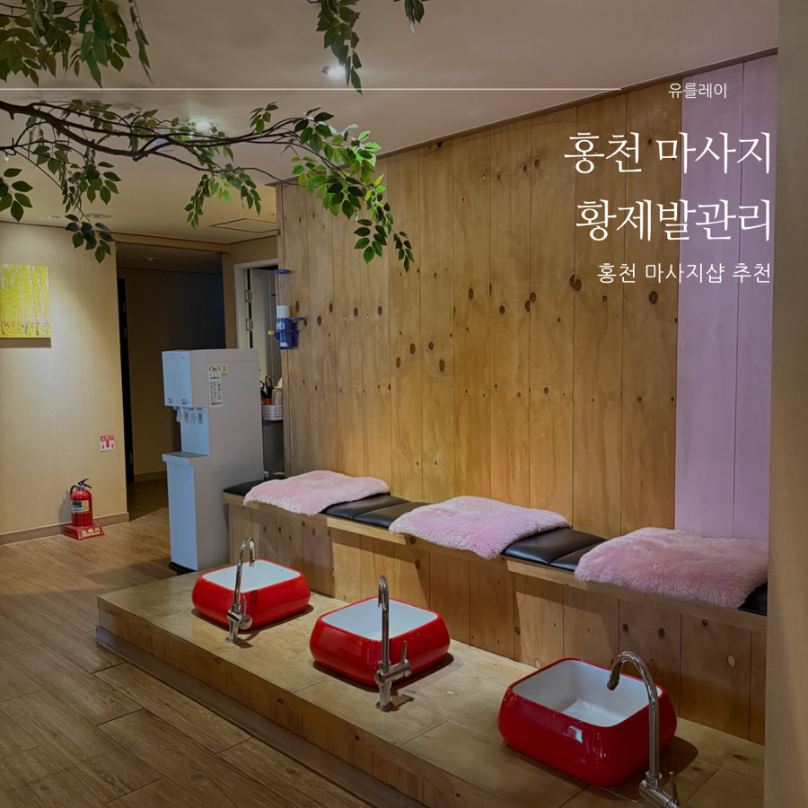 황제발관리 이미지
