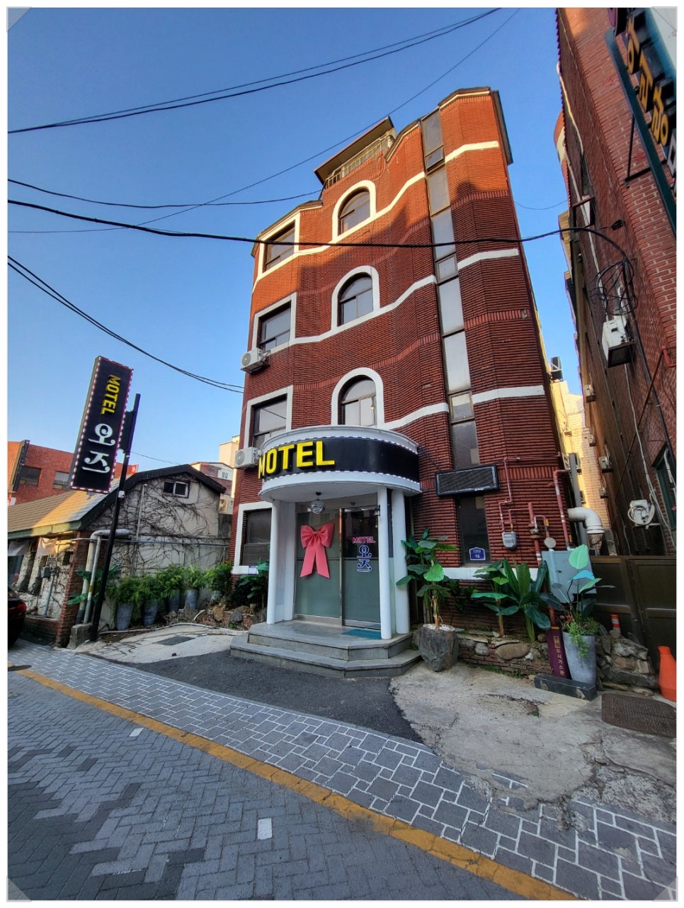세종오즈 이미지