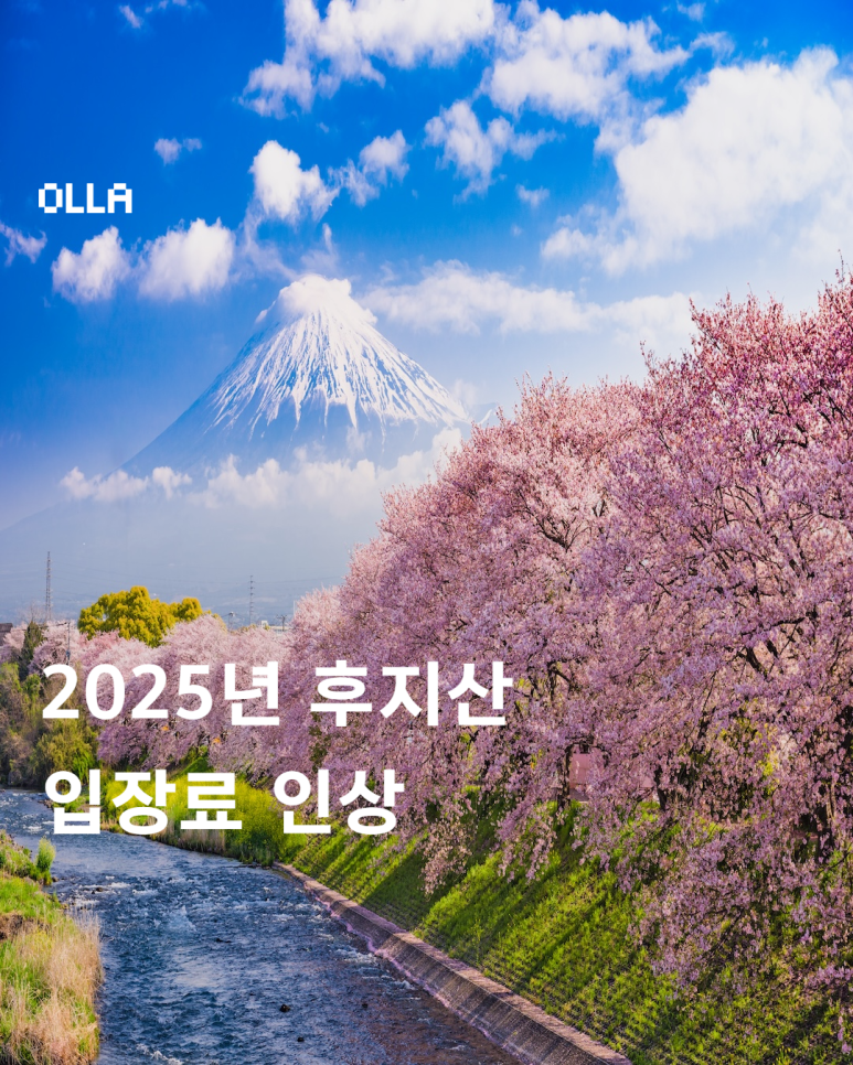트립올라 이미지