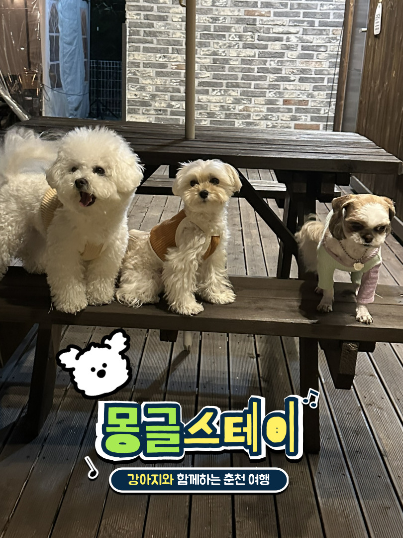 몽글스테이 이미지