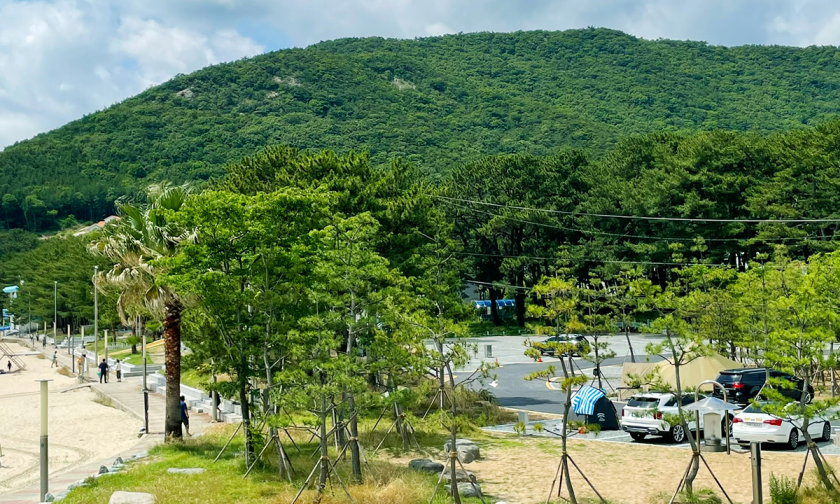 솔바람오토캠핑장 이미지