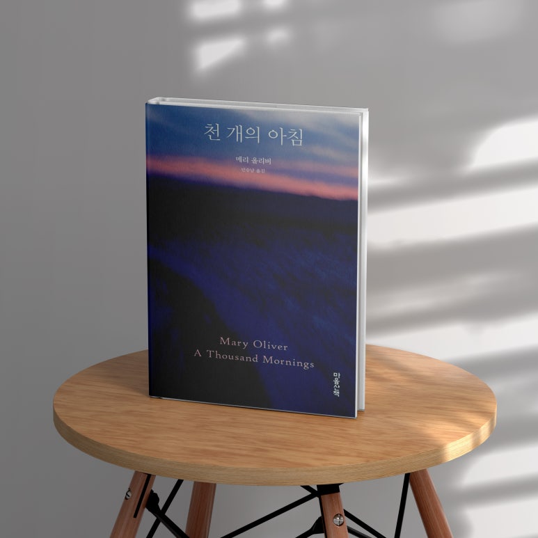 고요다락 이미지