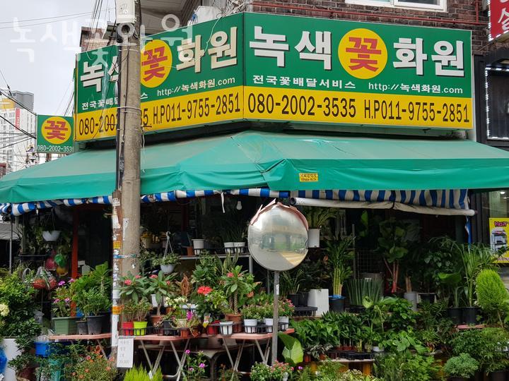 녹색꽃화원 이미지