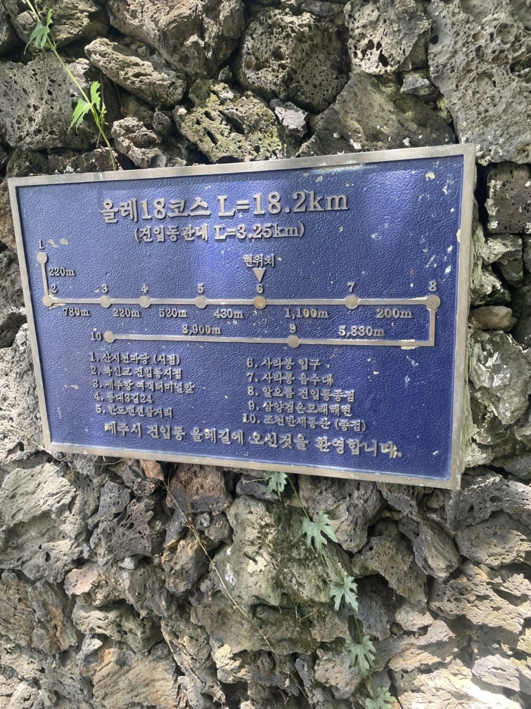 도두투어 이미지