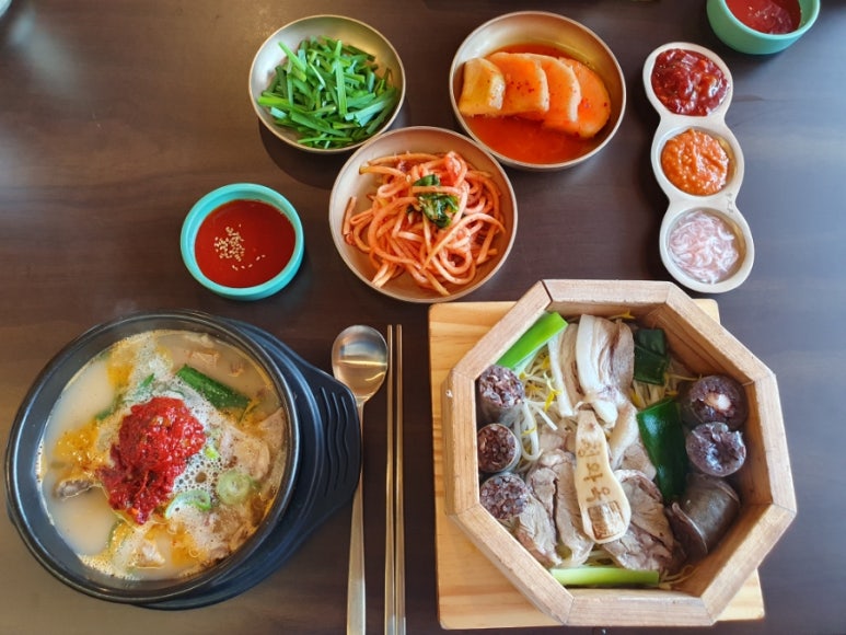 원편백나라 이미지