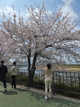 그린푸드 사진 6