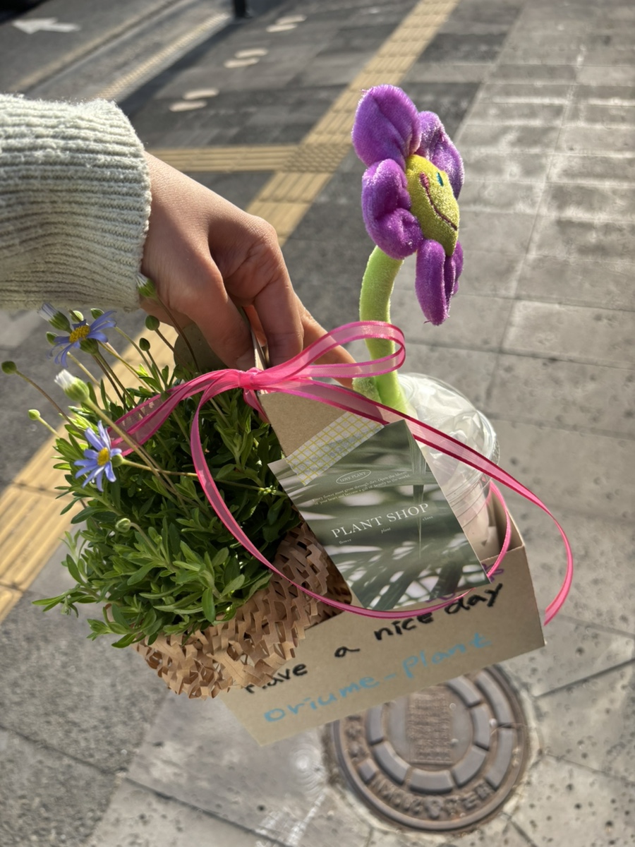 카페,메쥬 이미지