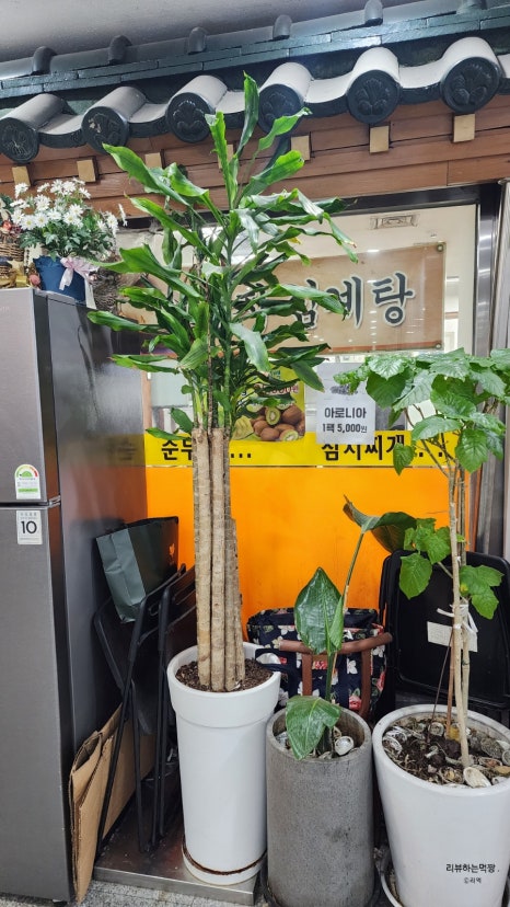이영자삼계탕 사진 3