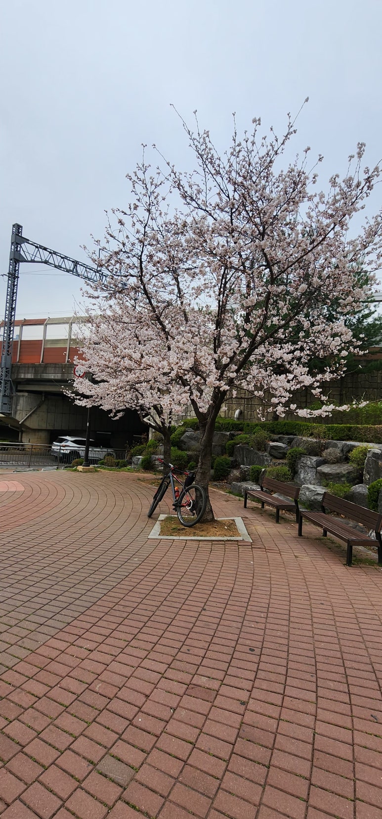 동산한식뷔페 이미지