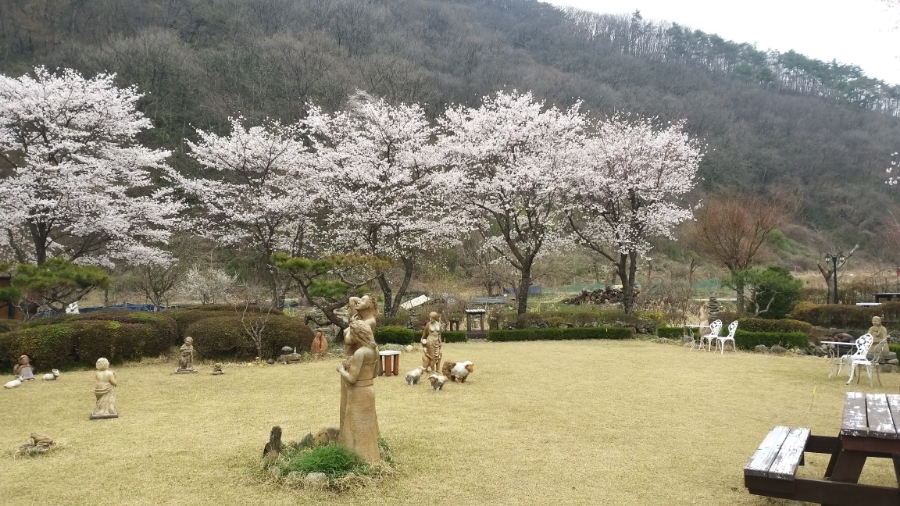 봄빛이야기 이미지