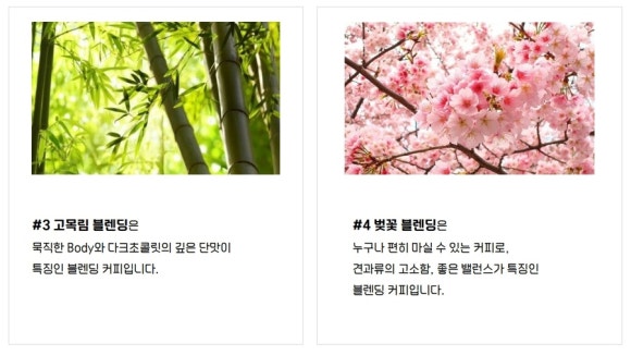 고목림 이미지