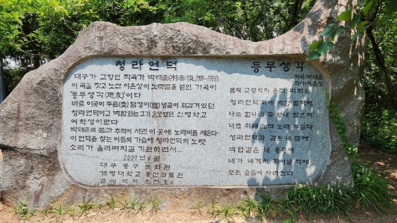 청라푸른담쟁이 이미지