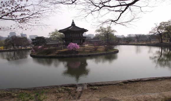 향정원 이미지