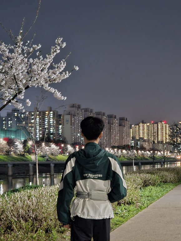 코지먼트 이미지