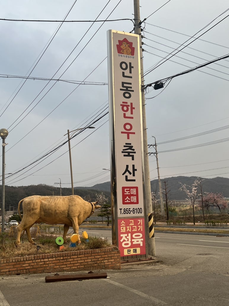 정도축산식육식당 이미지