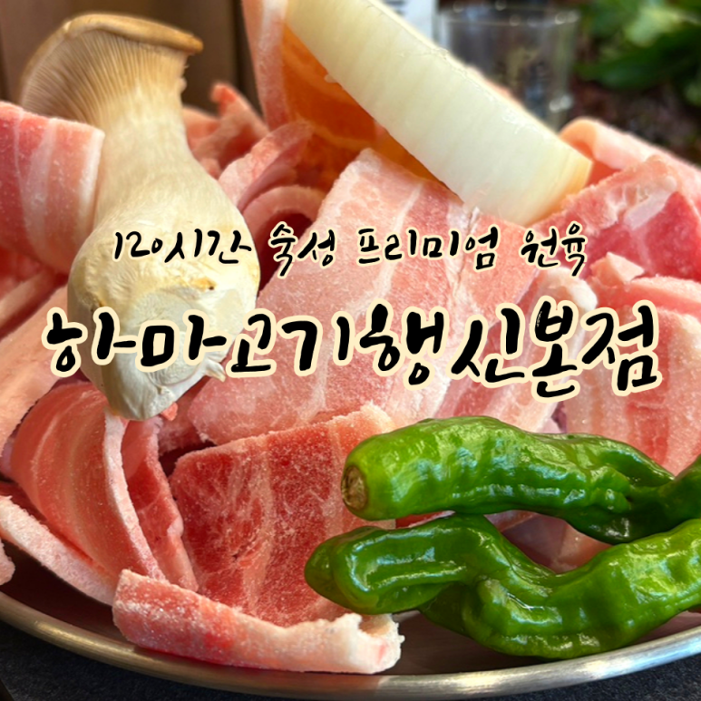 하마고기행신 이미지