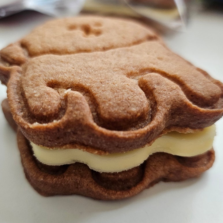 푸치케 이미지