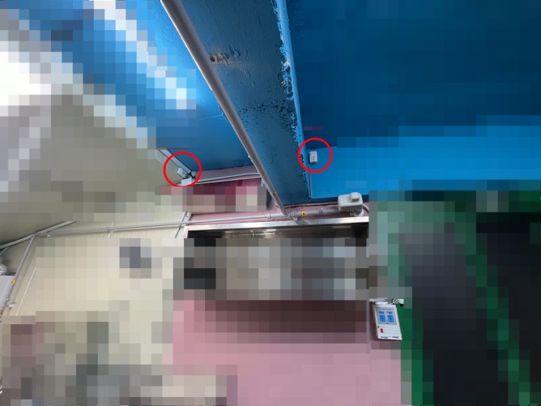 하리가스 이미지