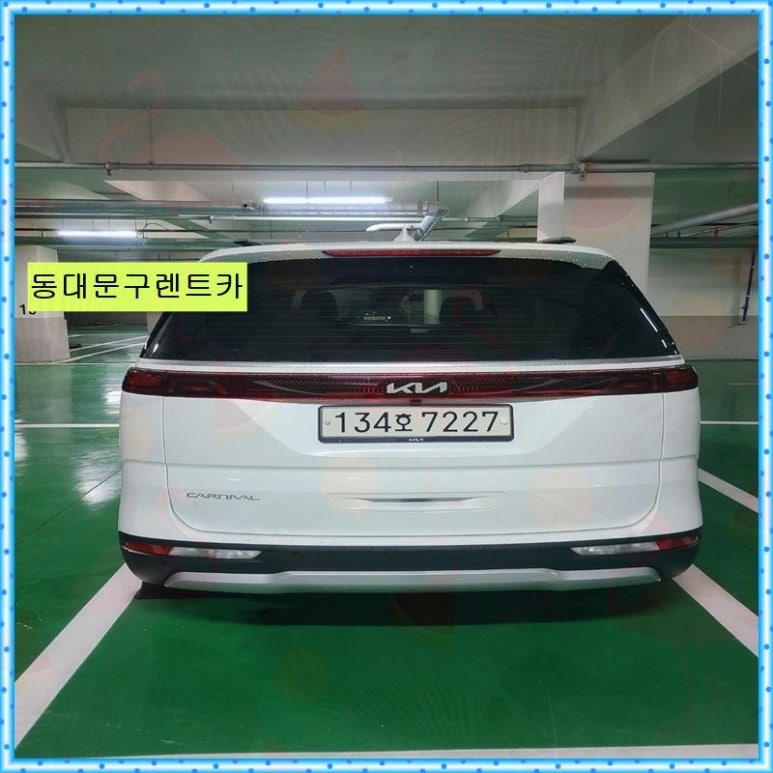 와이렌트카 이미지