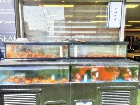 케이씨푸드 이미지
