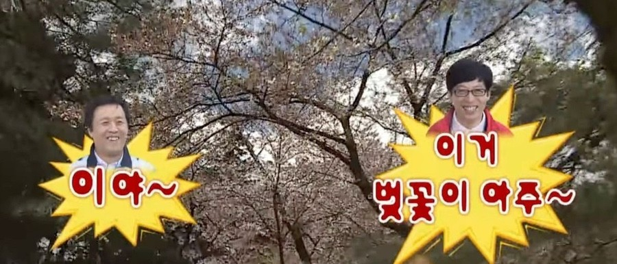 연남동벚꽃집 이미지