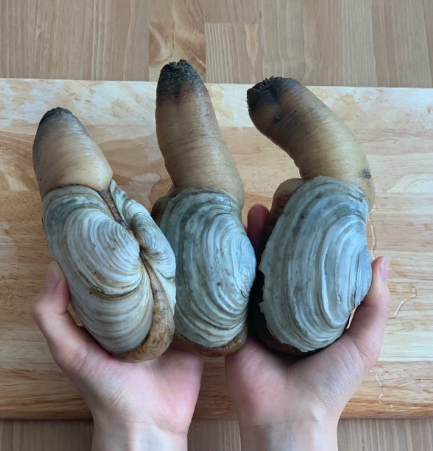 코끼리농수산 이미지