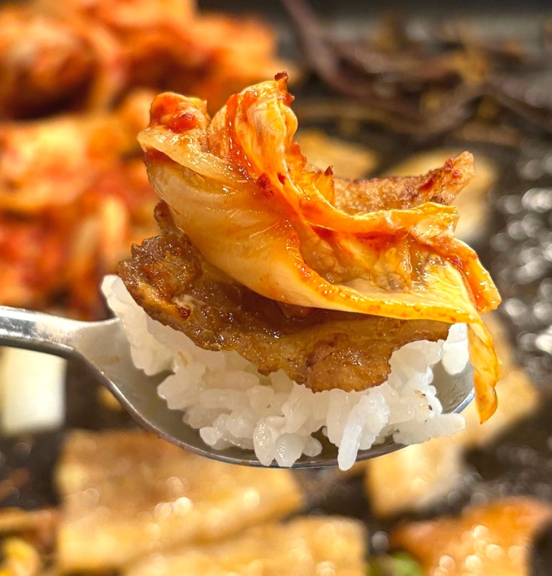 하마고기행신 이미지