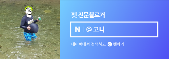 파두스 이미지