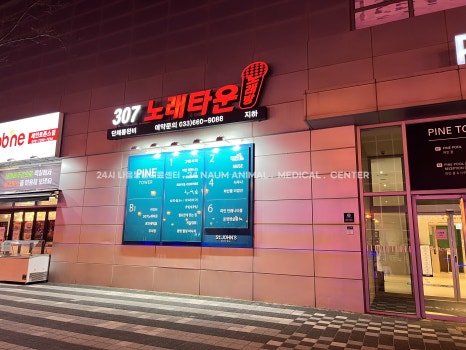 세인트노래타운 이미지